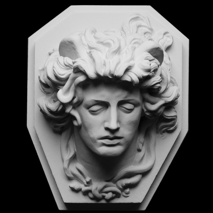 Medusa's Head image