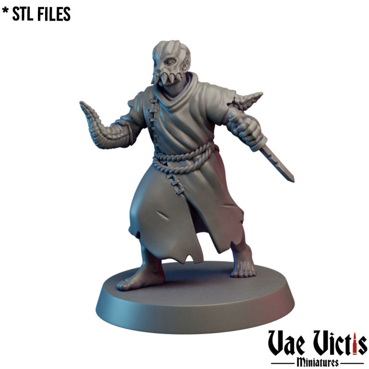 Cultist  #11 [PRE-SUPPORTED] image