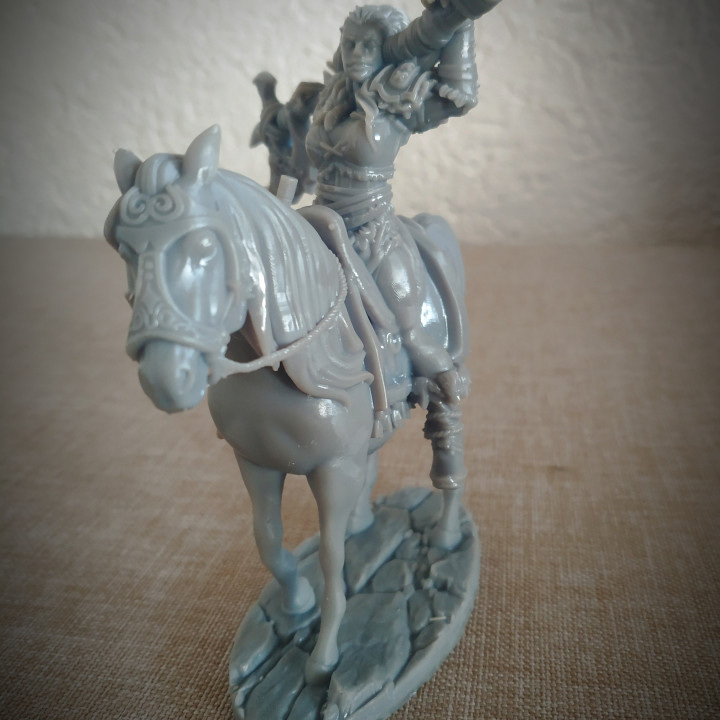 Barbarian Girl on horseback image