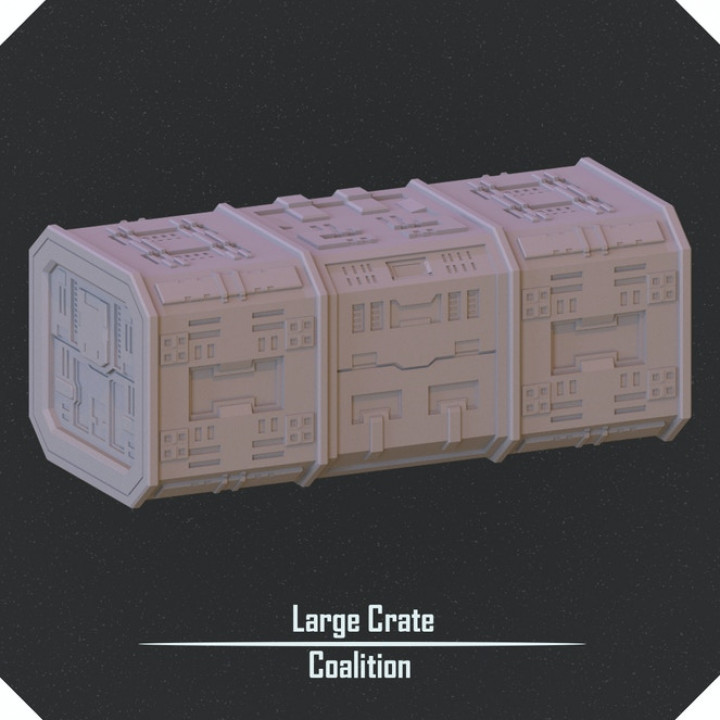 Large Crate image