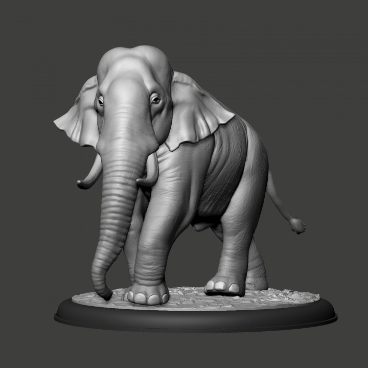Elephant Asian image