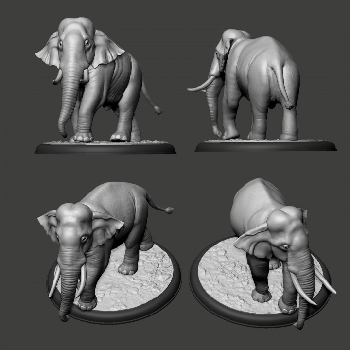 Elephant Asian image