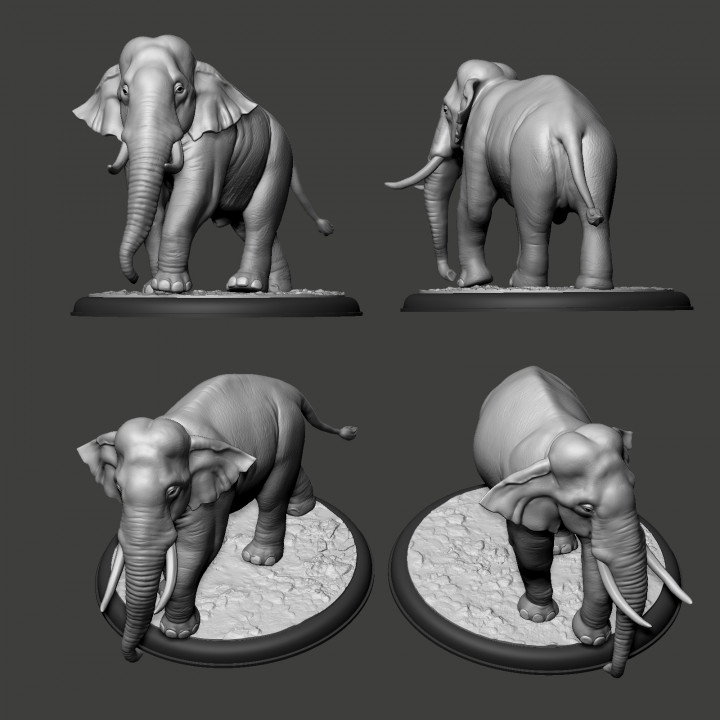3D Printable Elephant Asian by Art of V