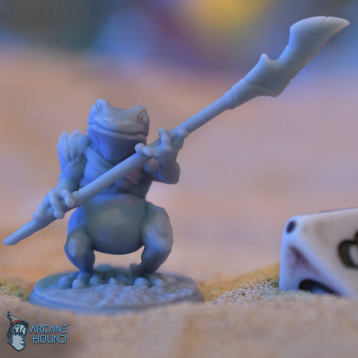 Frog Warrior - Pre-Supported image