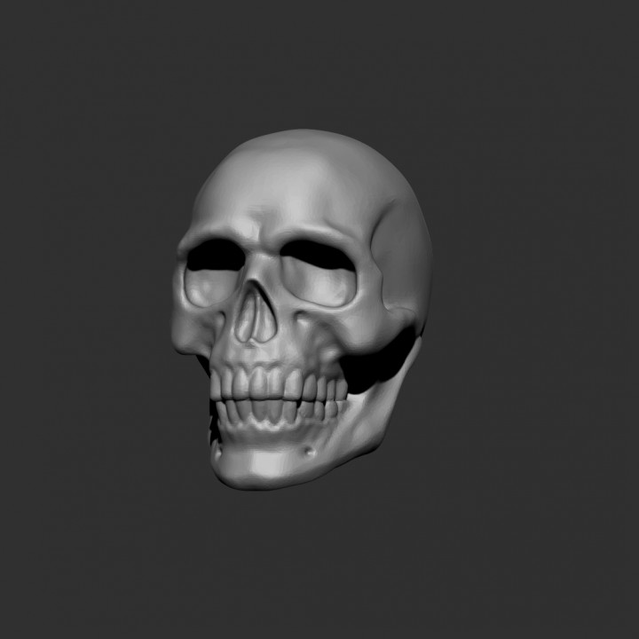 3D Printable Human Skull for wargaming by SabertoothCollectibles