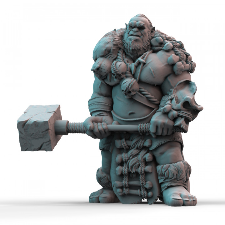 Orc Brute (pre-supported)