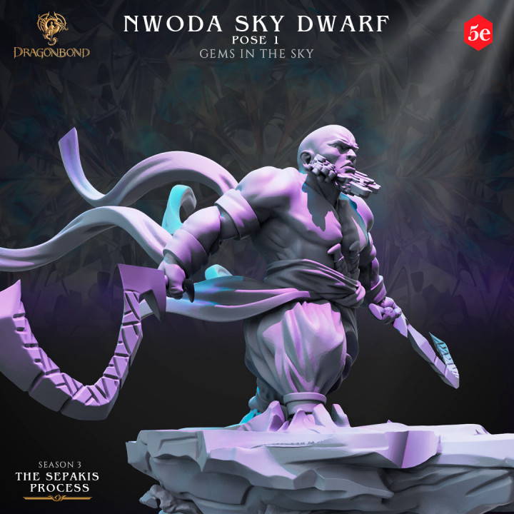 Dragonbond: Nwoda Sky Dwarves x3 Poses image