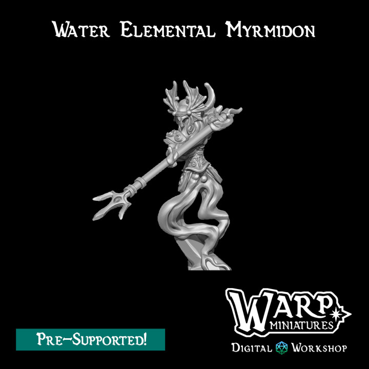 Water Elemental Myrmidon image