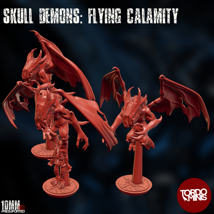 Skull God's: Flying Calamity image