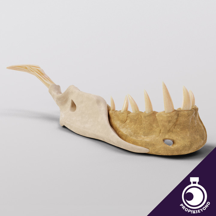 Bone Devils Mandible - Monster Trophy