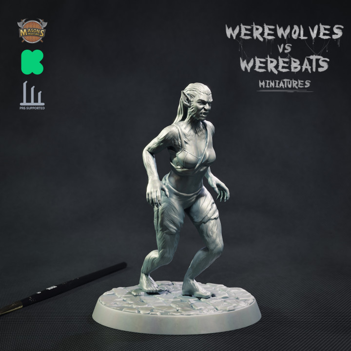 WerewolvesVSWerebats Kickstarter Full Set image
