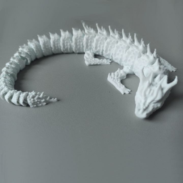 Articulated Sea Dragon image