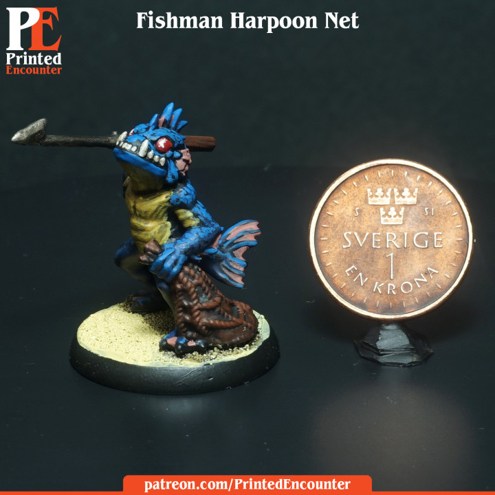 Fishman Harpoon & Net image