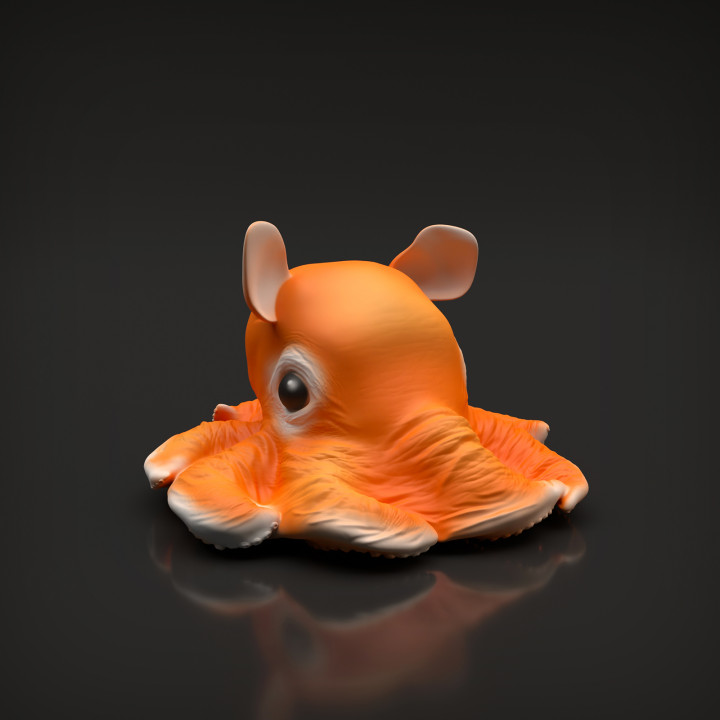 Dumbo Octopus image