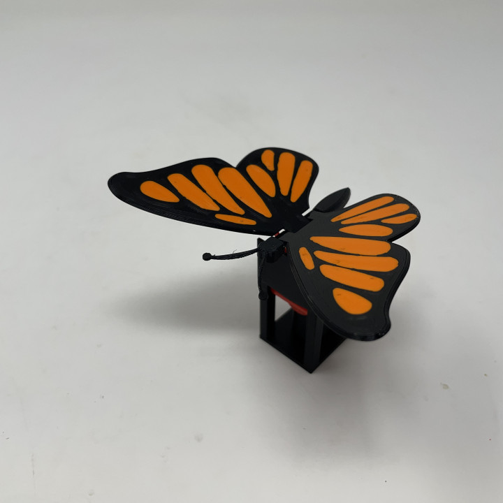 Butterfly Automaton image