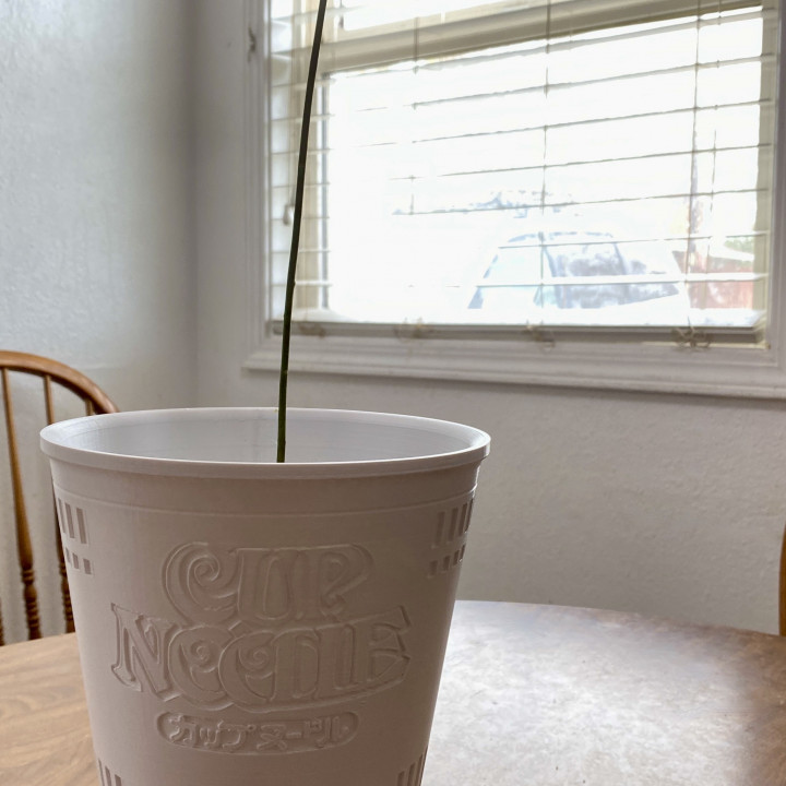 Cup noodle pot image