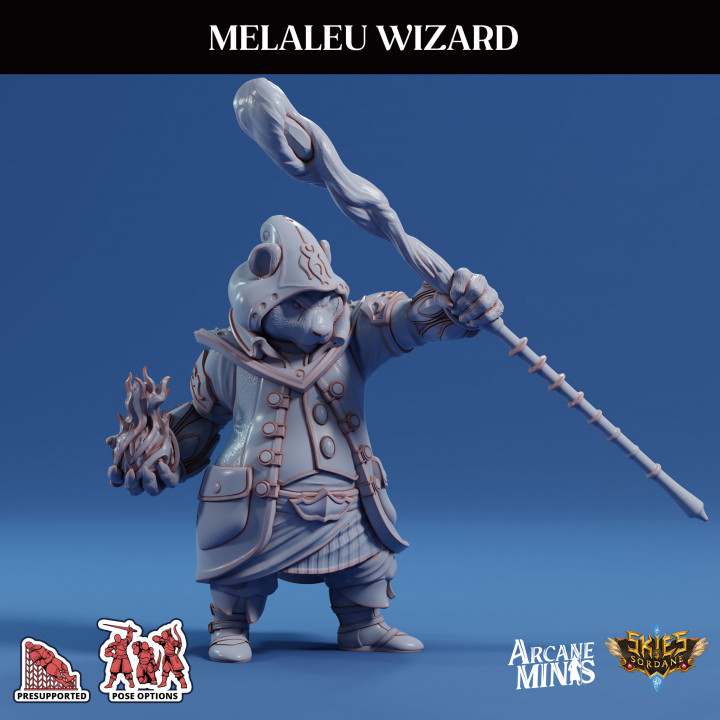 Melaleu Wizard - Merchant Guilds image