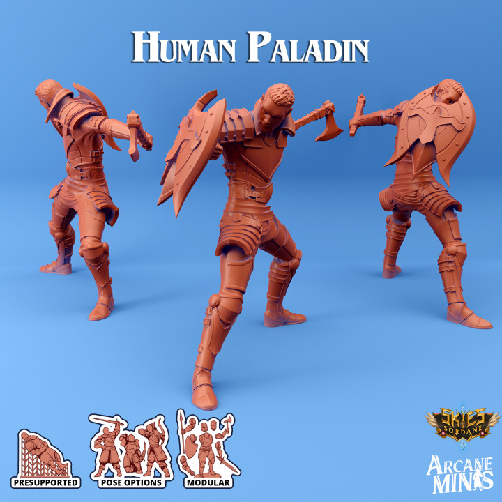 Human Paladin - Merchant Guilds image