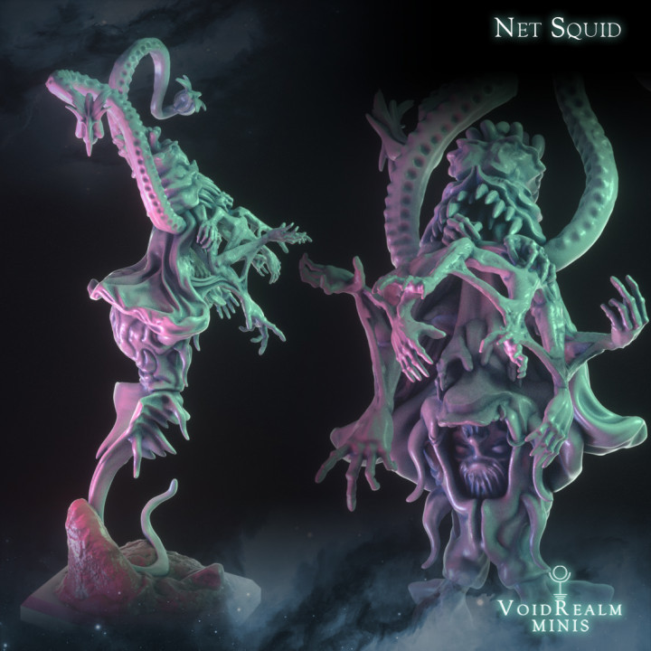 Net Squid image