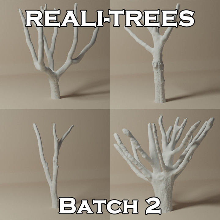 RealiTREEs -Batch 2 - 5 Trees image