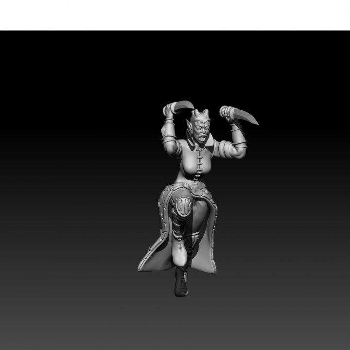 Je'ehl assassin - two poses image
