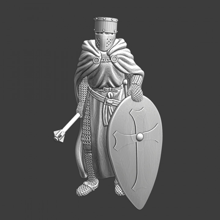 Medieval Danish Crusader - Noble Knight image