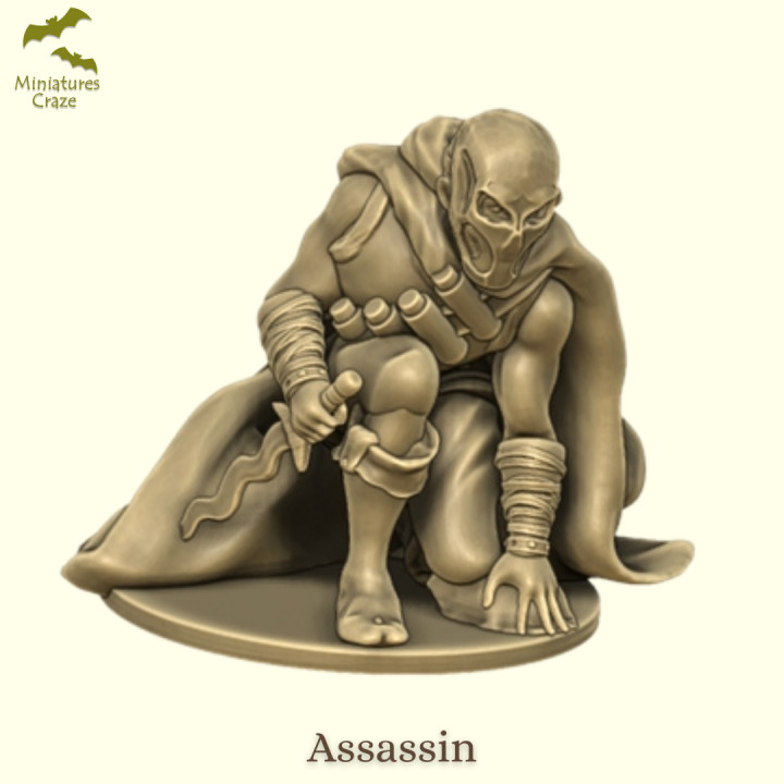 Ambush Squad Mercenaries / Assassins image
