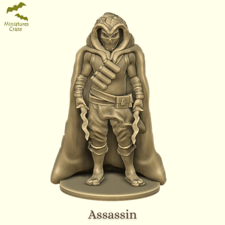 Assassin / Mercenary image
