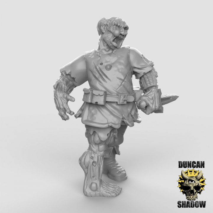 Zombie Town Guard with Daggers (pre supported) image