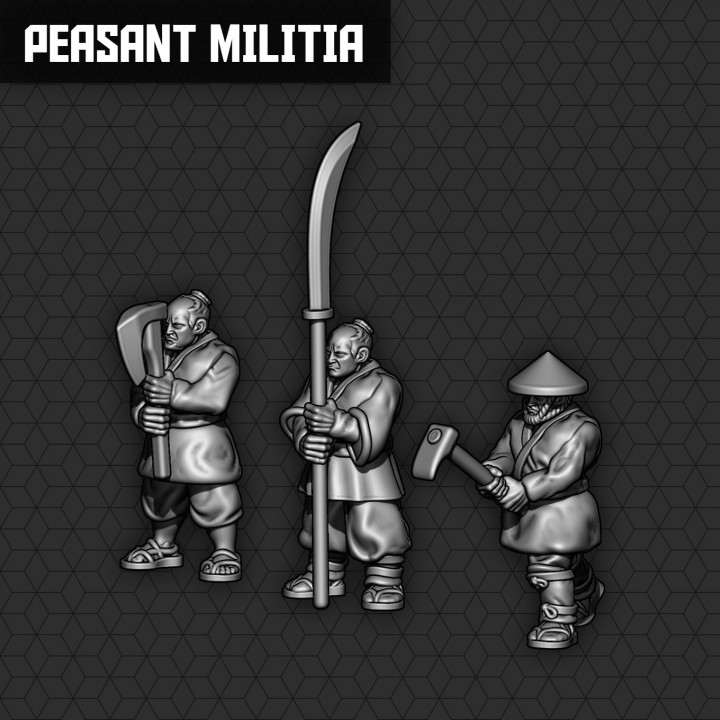Peasant Militia Units image