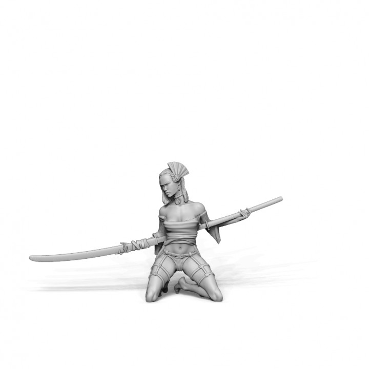 Kneeled Nodachi Warrior - Bushido - Way of the Warrior Kickstarter image