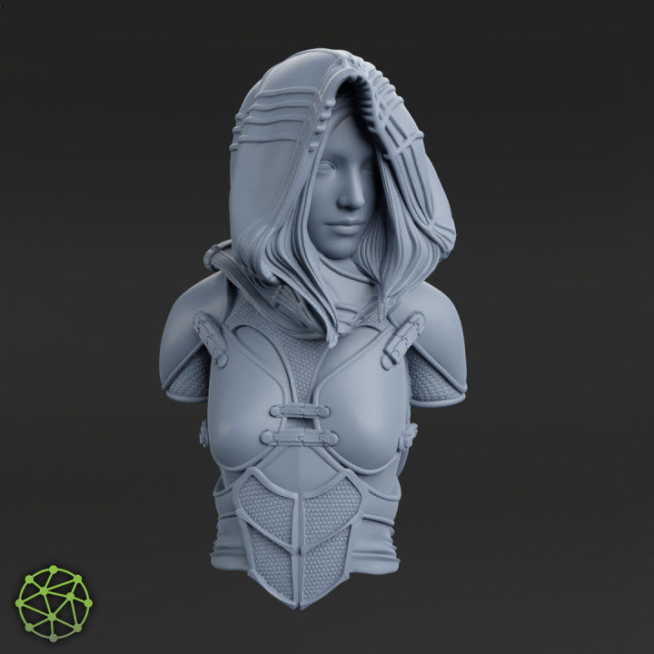 The Artificer - BUST image