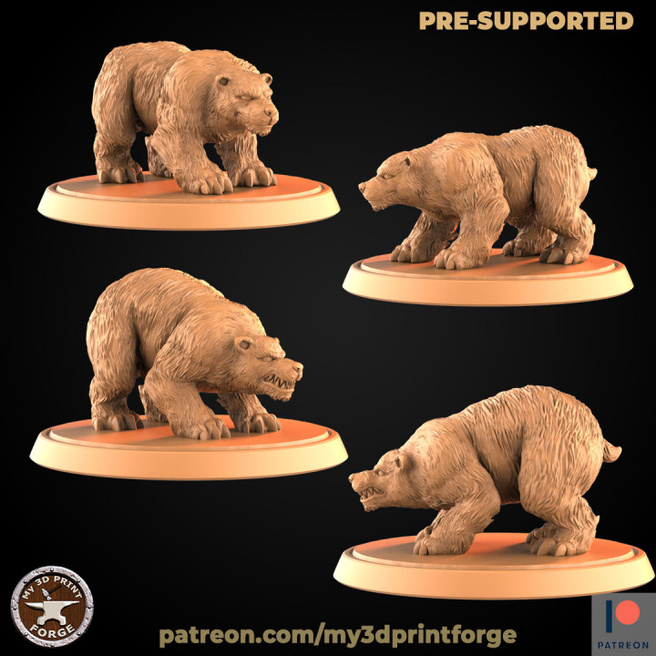 3D Printable Bears (Two models) by My3DPrintForge