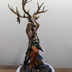 Picture of print of Druid Wappellious 1-12 scale PRESUPPORTED