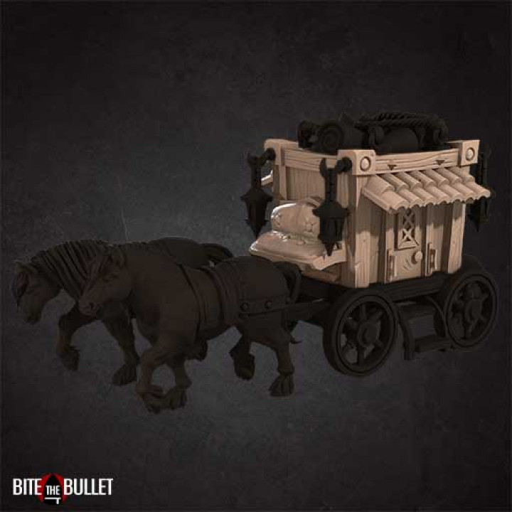 Horse Carriage image
