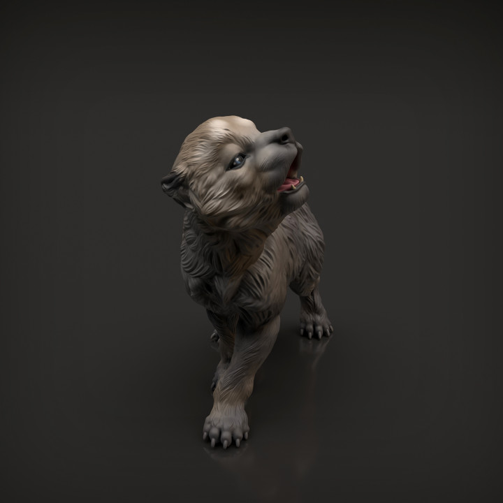 Wolf Pup image