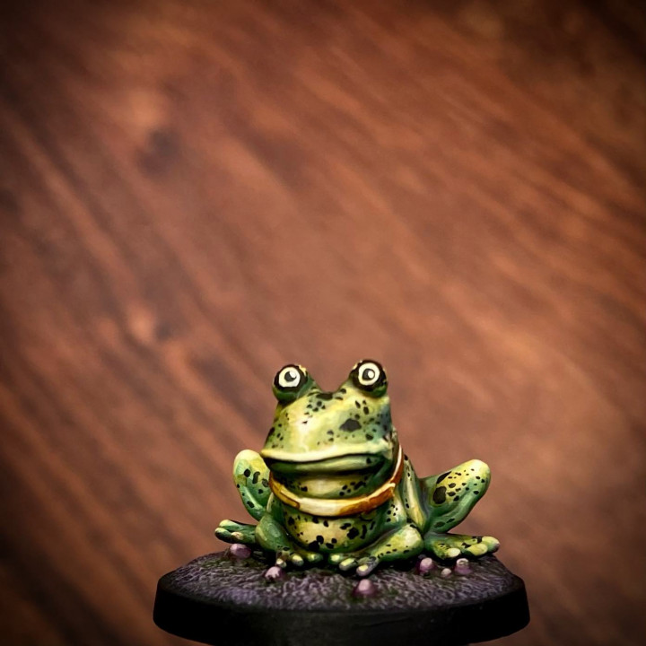 Todd the Toad image