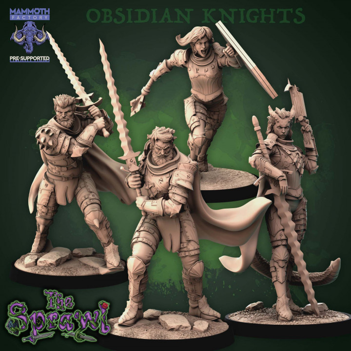 Obsidian Knights Pack image