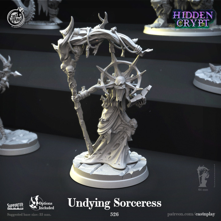 Undying Sorceress (Pre-Supported) image