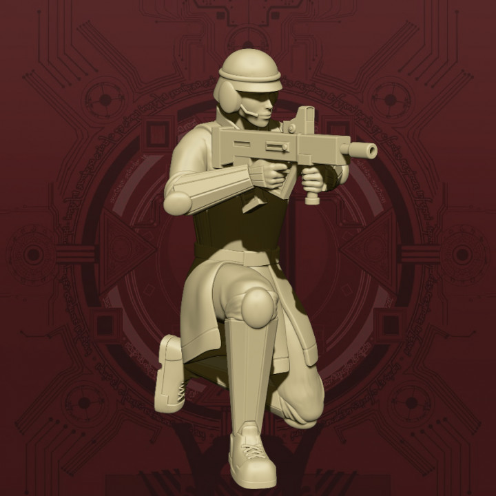Corp Security Trooper - Kneeling Pose image