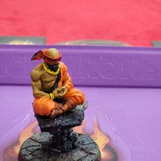 Picture of print of (0083) Male human elf tiefling half orc zen master shaolin monk