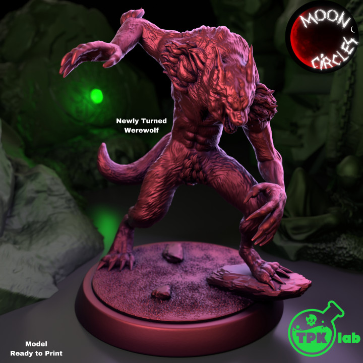 Newly Turned Werewolf (1)