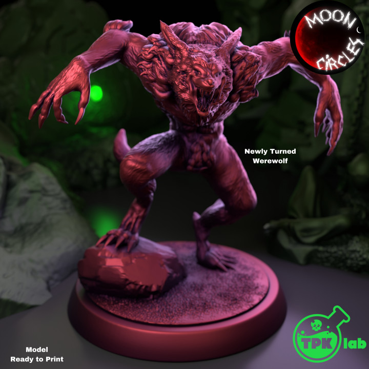 Newly Turned Werewolf (2)