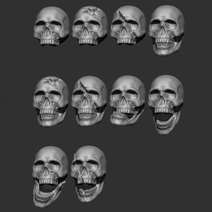 Pack of 10 Human Skulls image