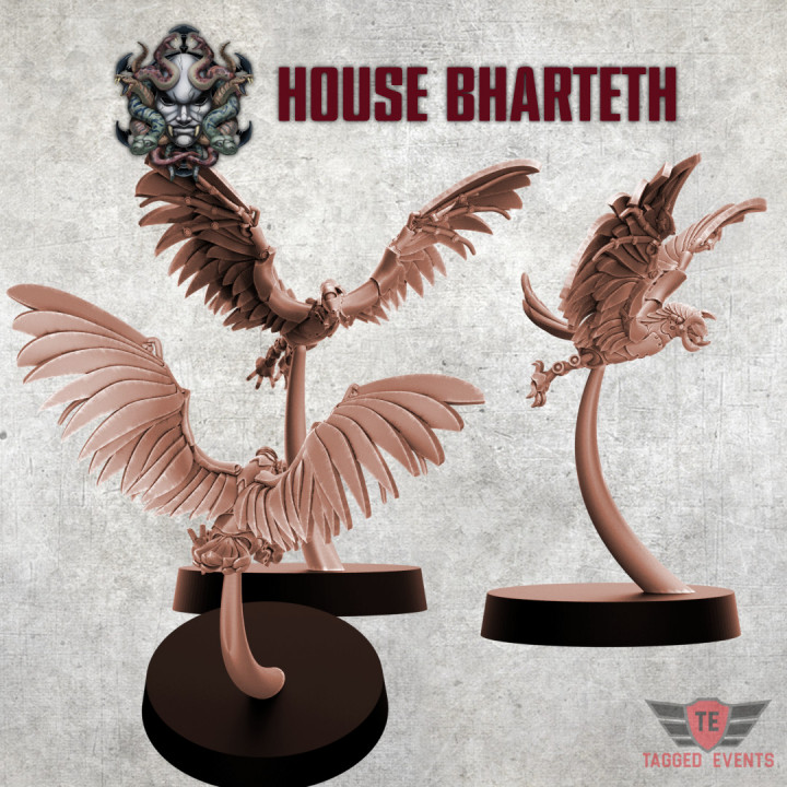 House Bharteth - Cyber Hawk Flock image