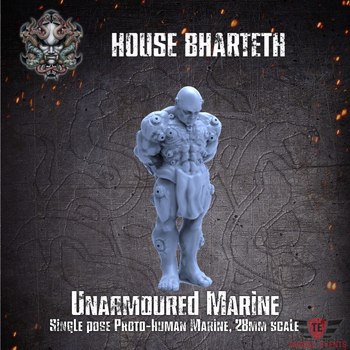 House Bharteth - Unarmoured Marine 2 image