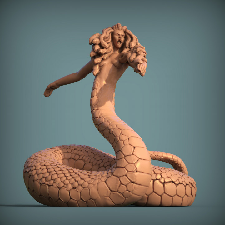 Medusa (pre-supported) image