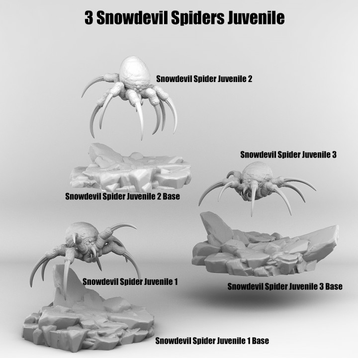 3 SNOWDEVIL SPIDERS JUVENILE image