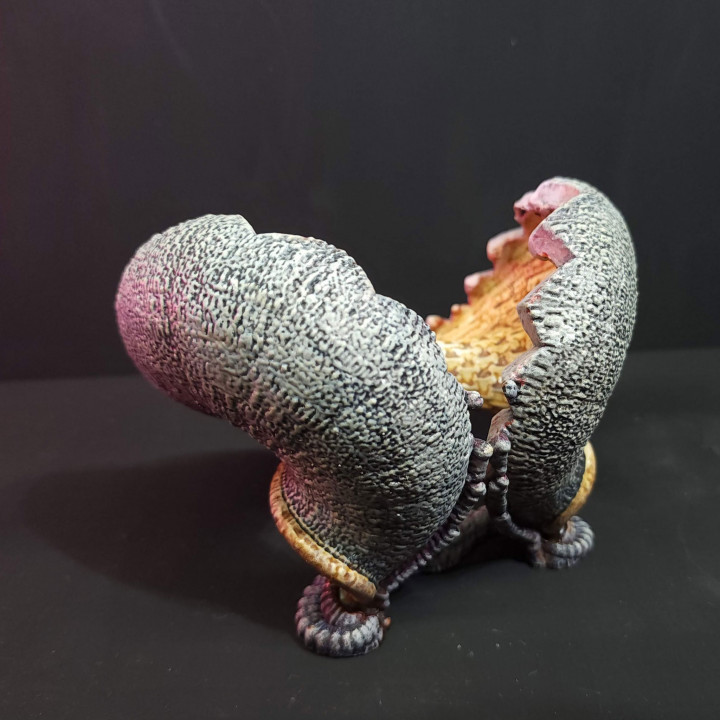 Clam Blossom - Alien terrain for tabletop miniatures image