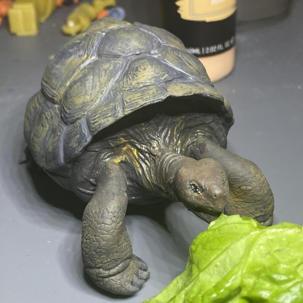Aldabra Giant Tortoise 切手　4 シート　全て異なる4種類 Aldabra Giant Tortoise 切手 4 シート 全て異なる4種類 Aldabra Giant